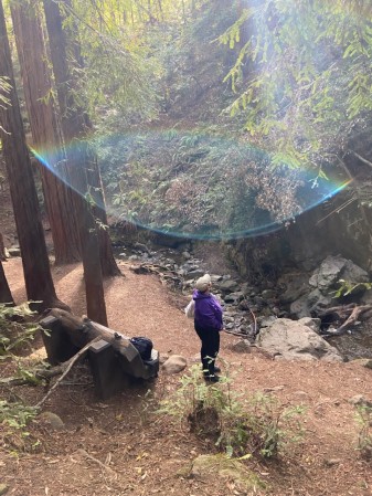 Kira walking in the Redwoods